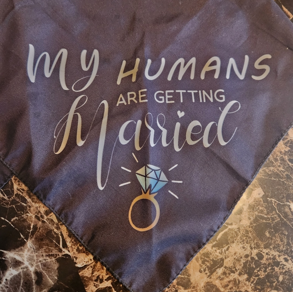 Dog wedding bandanas